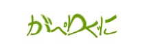 Authentication image