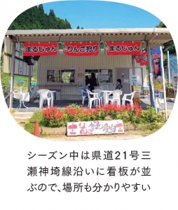 まるじゅんリンゴ園-チェック3.jpg